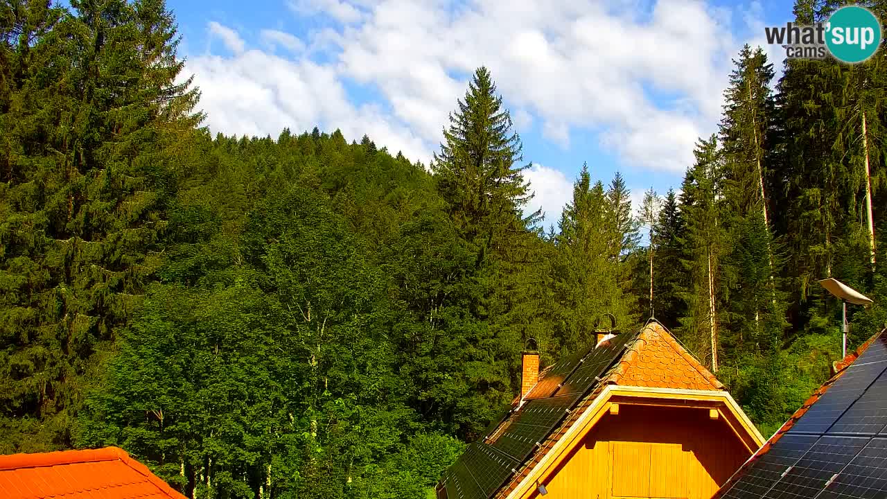 Spletna kamera Lukanja – Water Village | Pohorje Houses