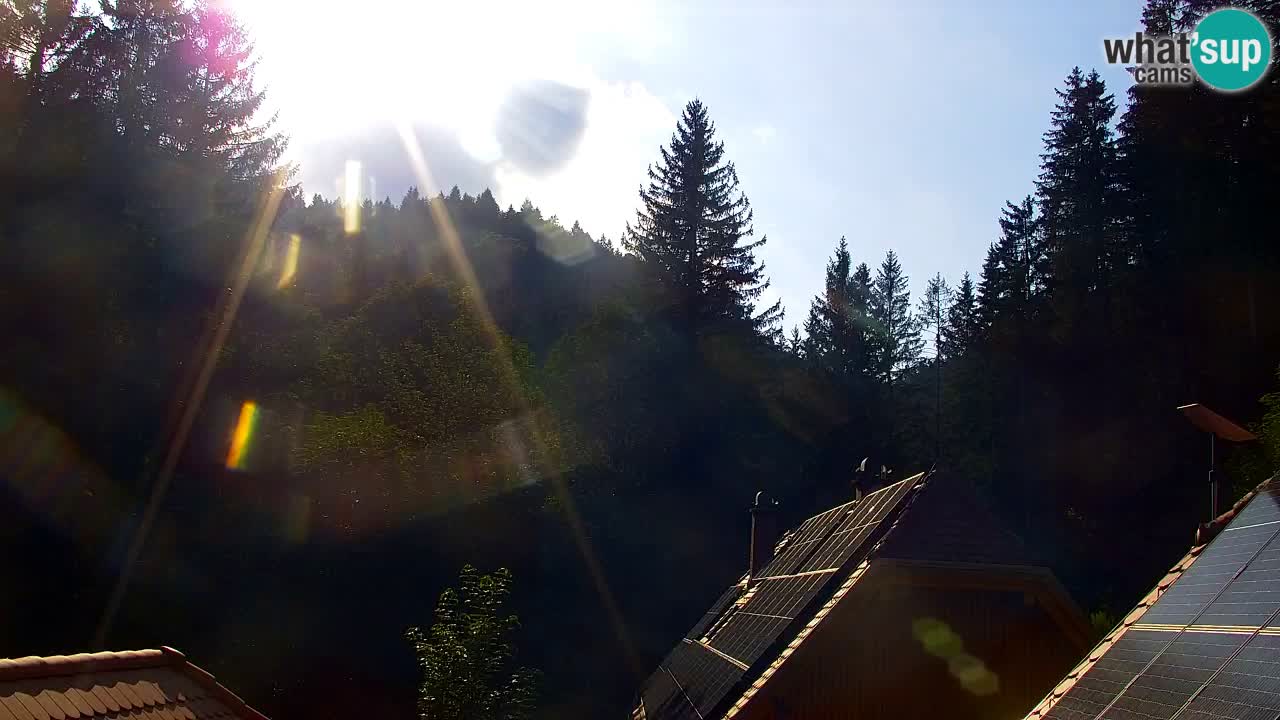 Webcam Lukanja – Water Village | Pohorje Houses