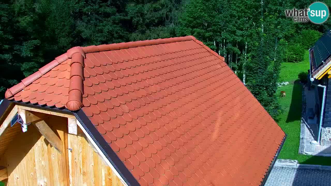 Spletna kamera Lukanja – Water Village | Pohorje Houses