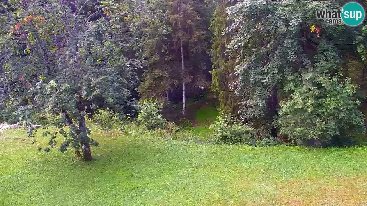 Webcam Lukanja – Water Village | Pohorje Houses