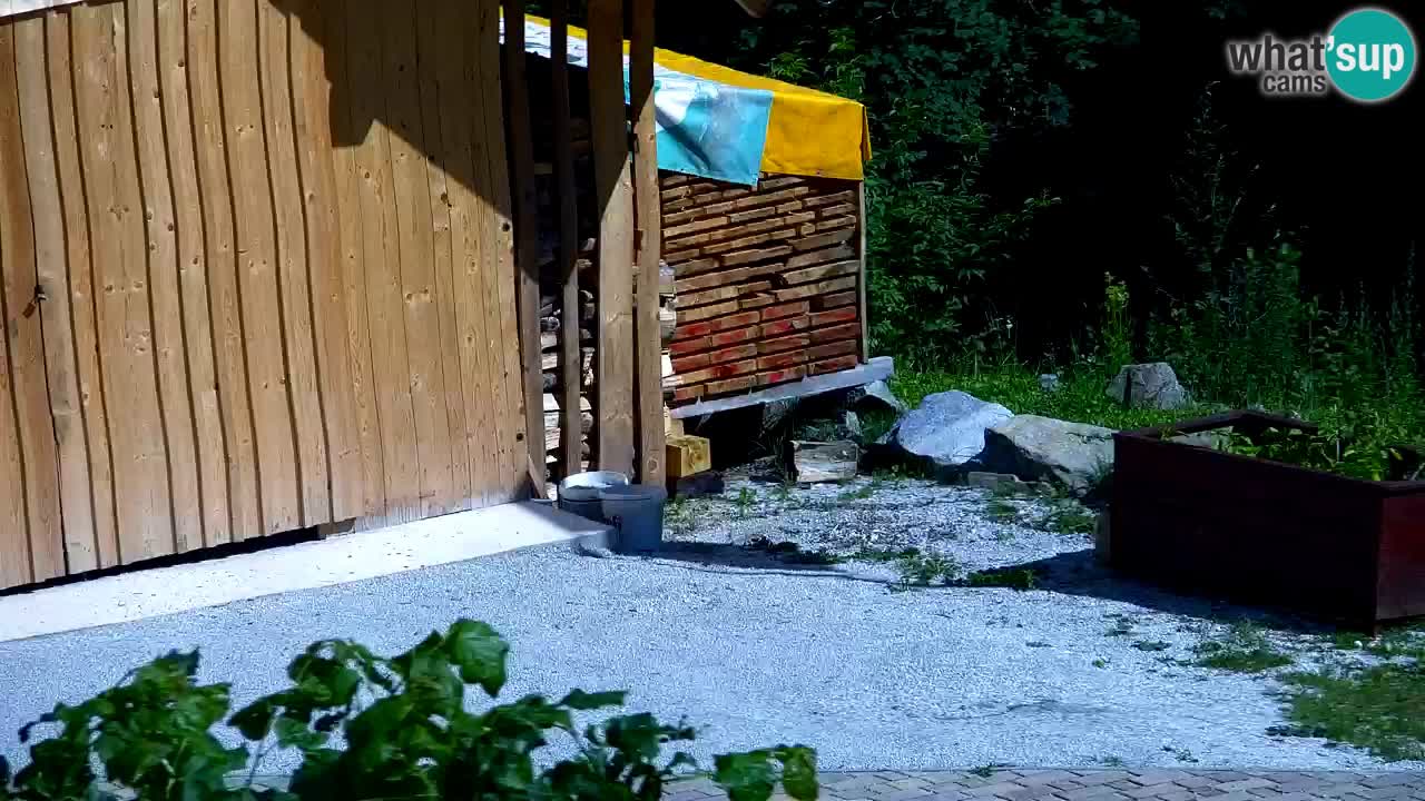 Web kamera Lukanja – Water Village | Pohorje Houses