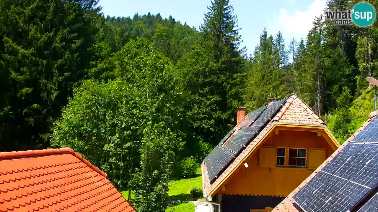 Webcam Lukanja – Water Village | Pohorje Houses