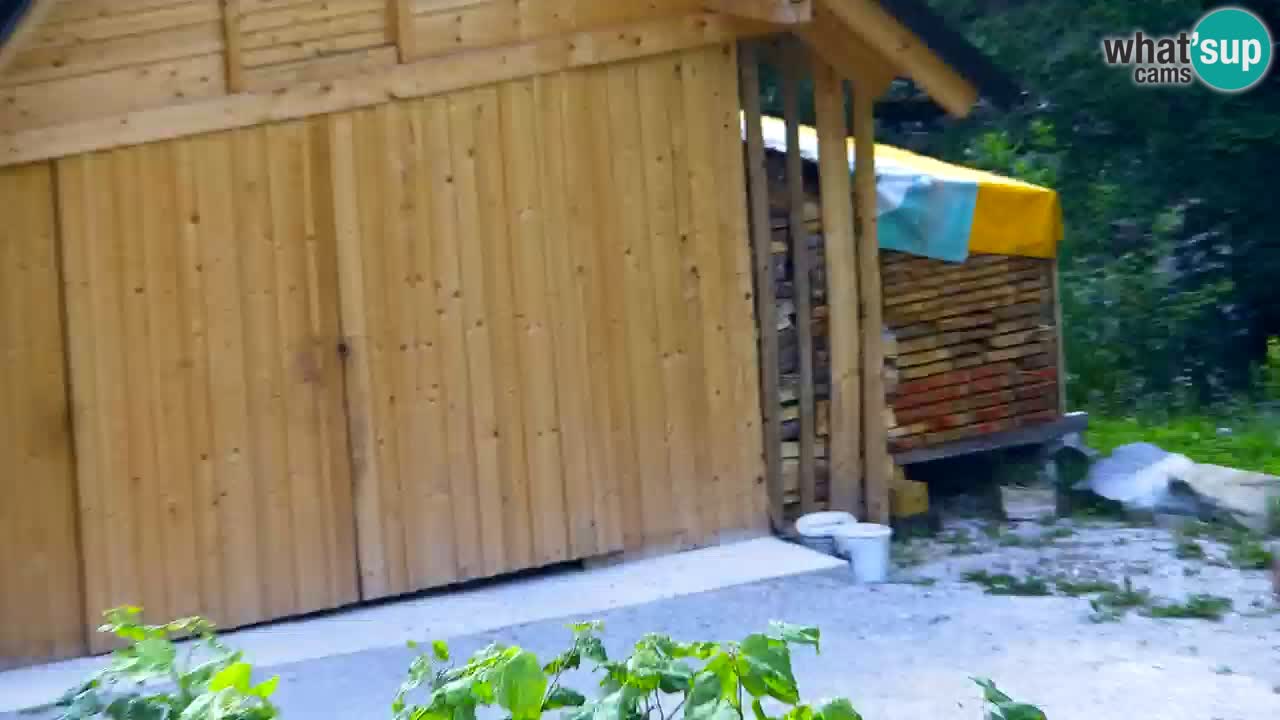 Webcam Lukanja – Pohorje houses a Water village