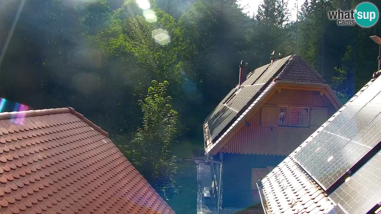 Webcam Lukanja – Water Village | Pohorje Houses