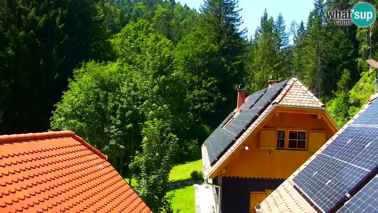 Webcam Lukanja – Pohorje houses a Water village