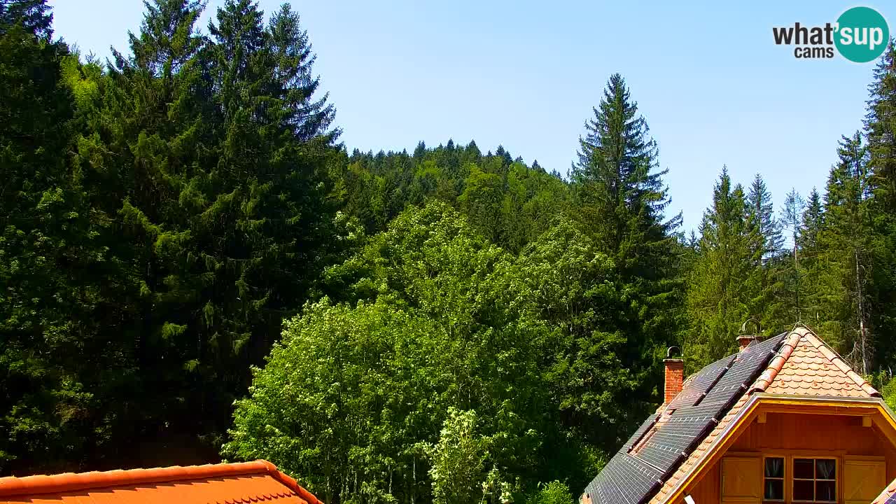 Webcam Lukanja – Water Village | Pohorje Houses