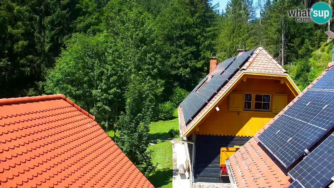 Webcam Lukanja – Pohorje houses a Water village