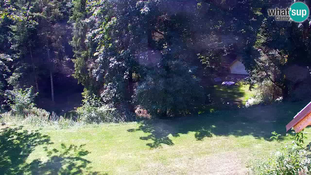 Webcam Lukanja – Water Village | Pohorje Houses