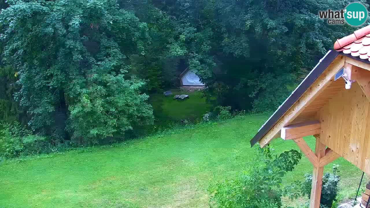 Webcam Lukanja – Water Village | Pohorje Houses