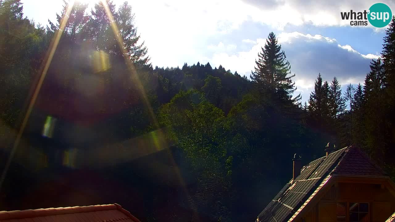 Webcam Lukanja – Pohorje houses a Water village