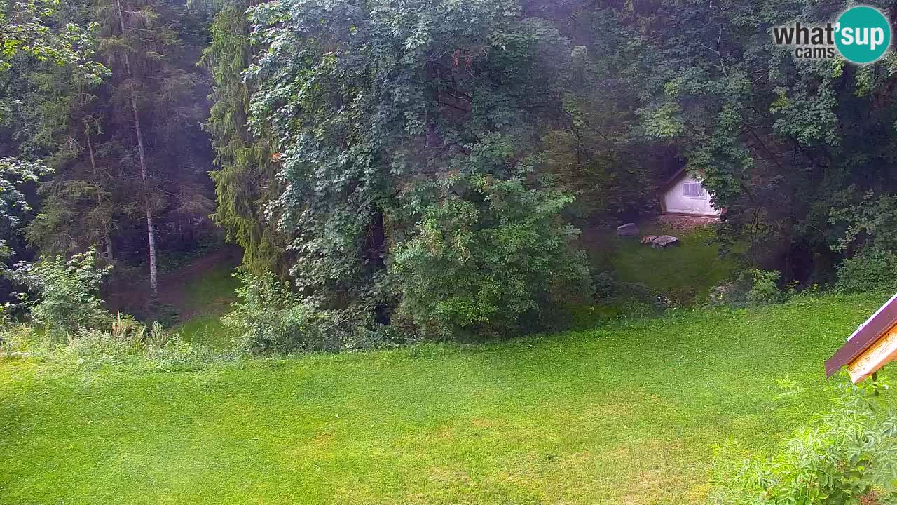 Webcam Lukanja – Water Village | Pohorje Houses