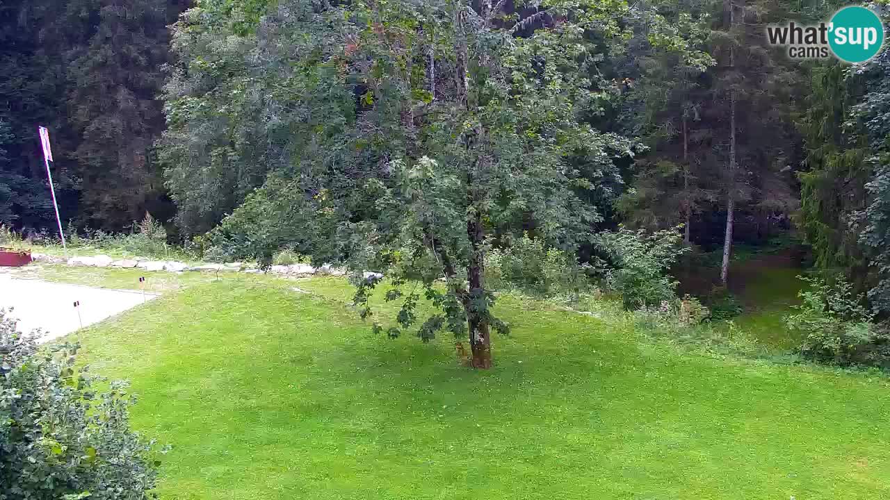 Webcam Lukanja – Water Village | Pohorje Houses