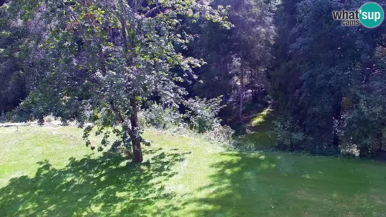 Webcam Lukanja – Water Village | Pohorje Houses