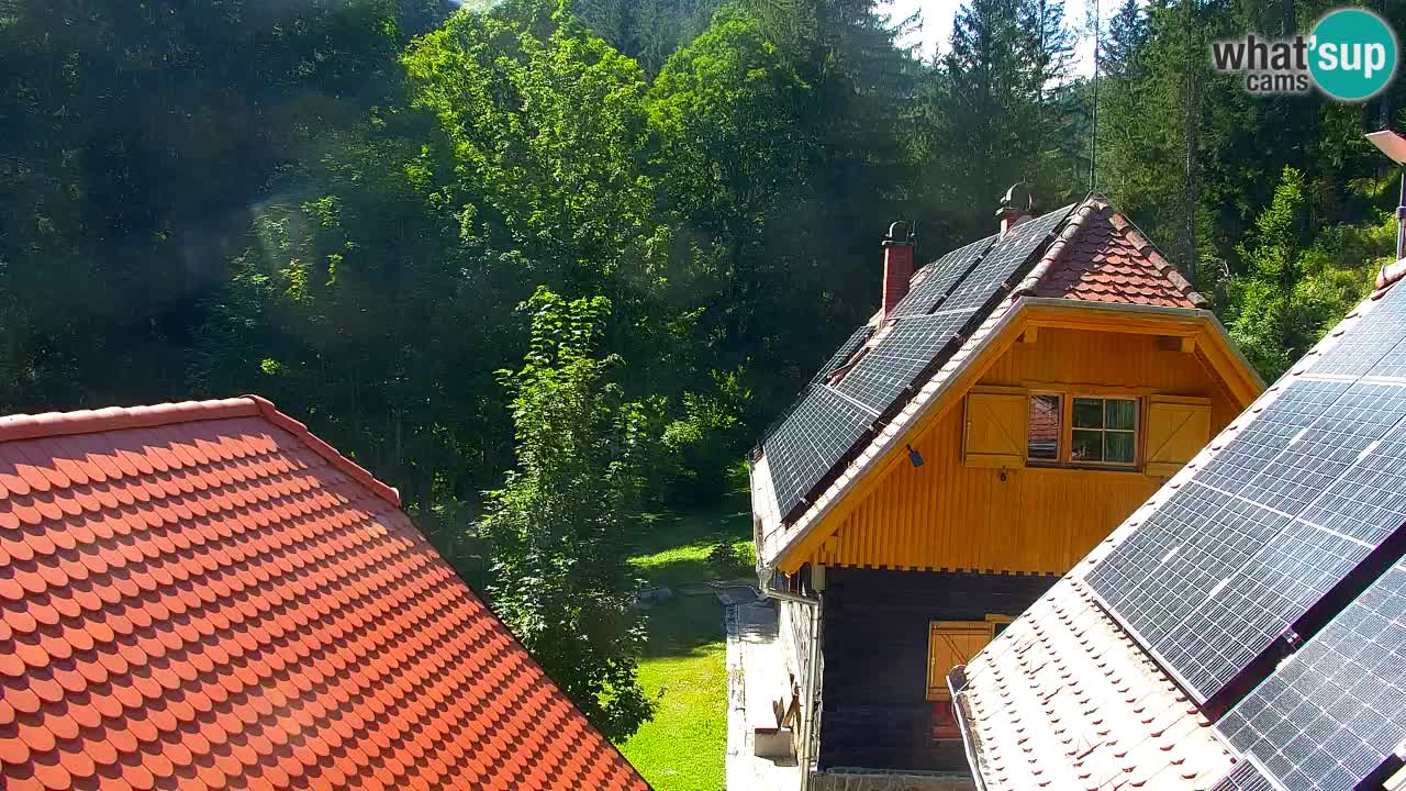 Webcam Lukanja – Water Village | Pohorje Houses