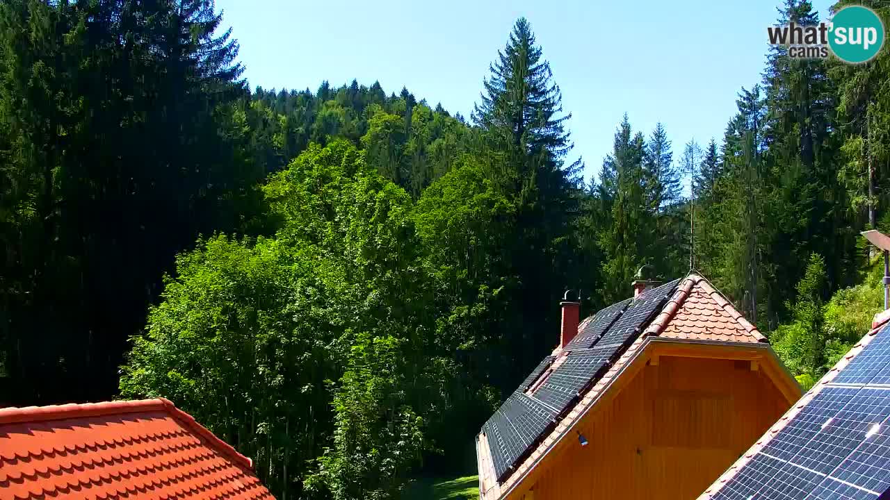 Webcam Lukanja – Pohorje houses a Water village