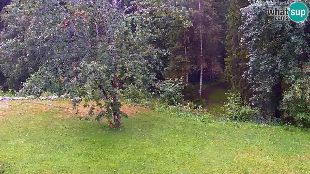 Webcam Lukanja – Water Village | Pohorje Houses