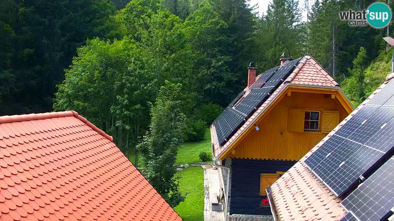 Webcam Lukanja – Pohorje houses a Water village