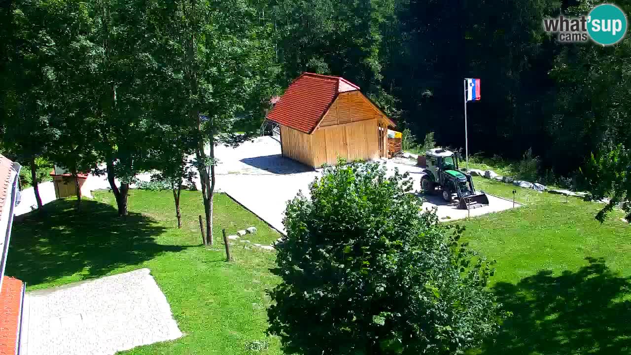 Webcam Lukanja – Water Village | Pohorje Houses