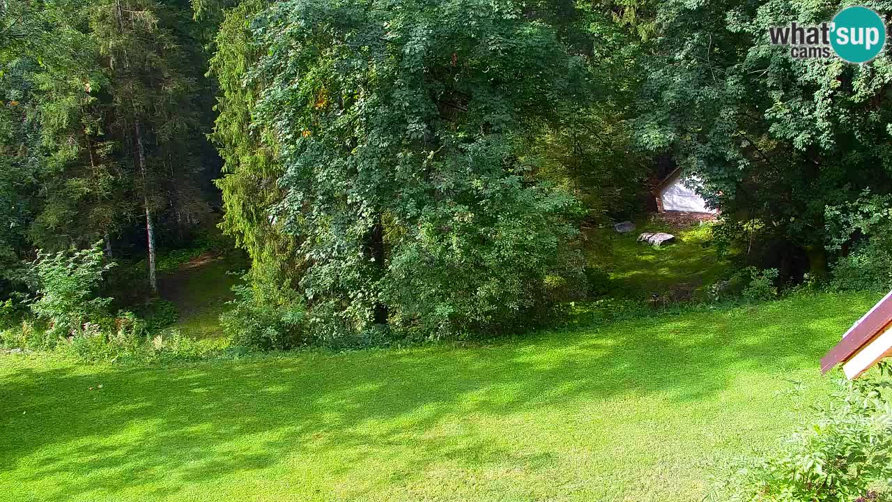 Webcam Lukanja – Water Village | Pohorje Houses