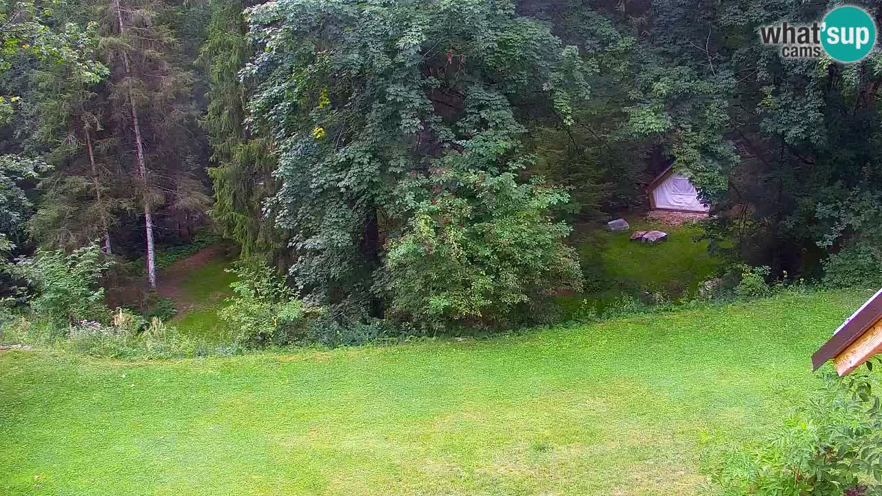 Webcam Lukanja – Pohorje houses a Water village
