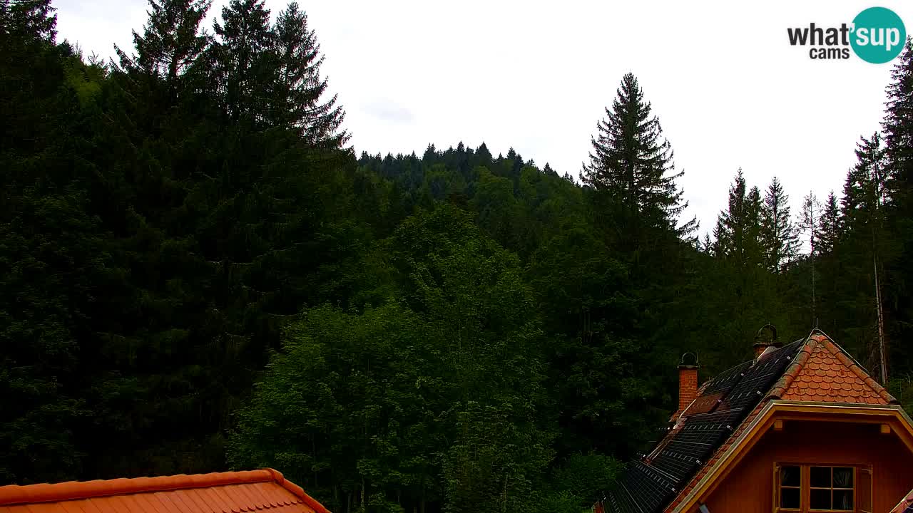 Webcam Lukanja – Pohorje houses a Water village