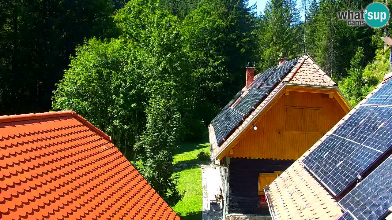Webcam Lukanja – Water Village | Pohorje Houses