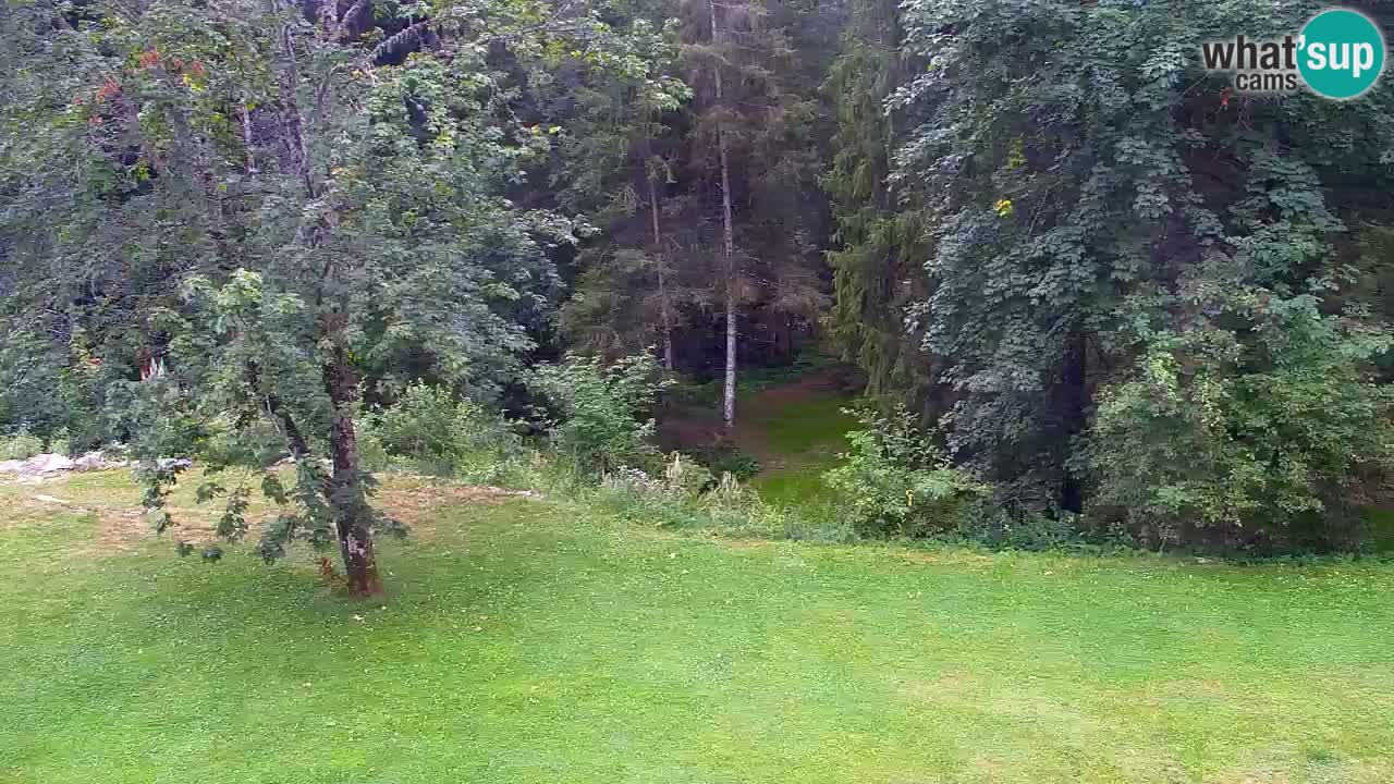 Webcam Lukanja – Water Village | Pohorje Houses