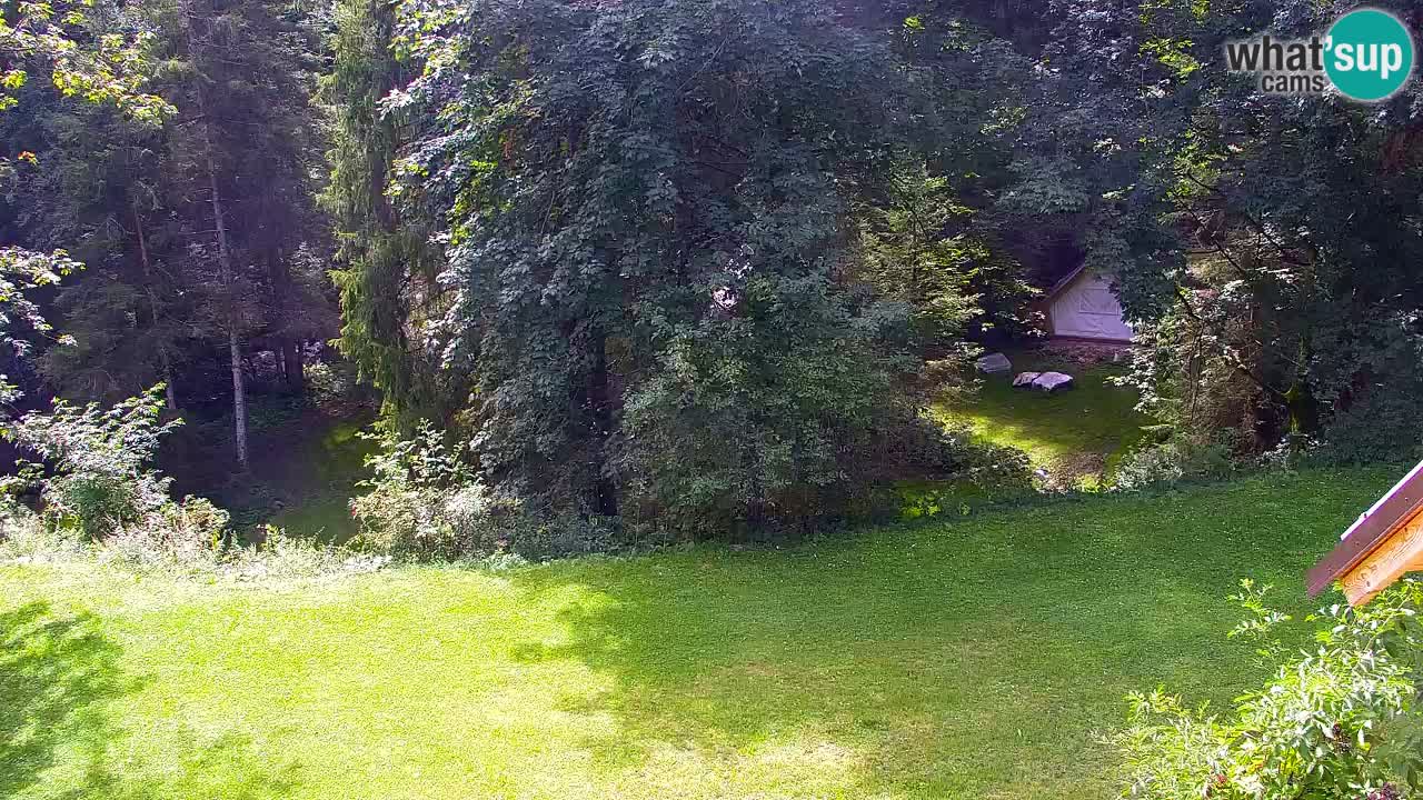 Webcam Lukanja – Water Village | Pohorje Houses