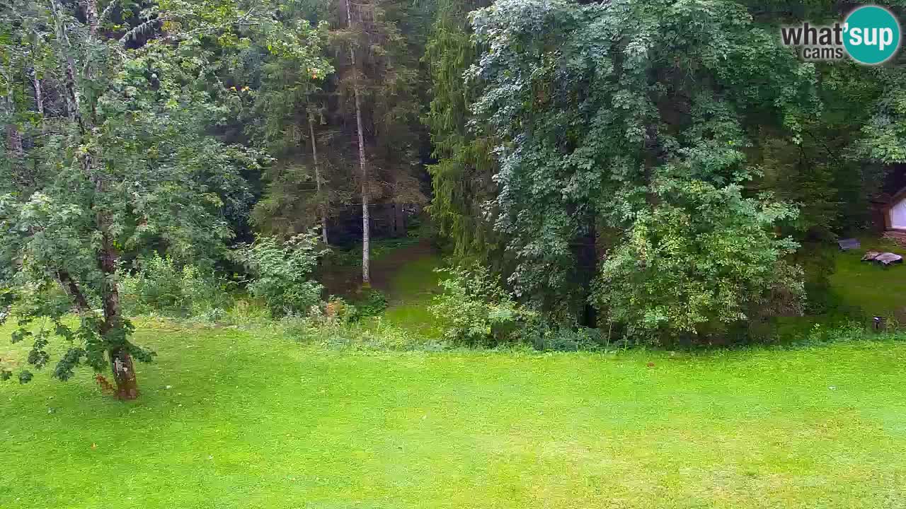 Webcam Lukanja – Water Village | Pohorje Houses