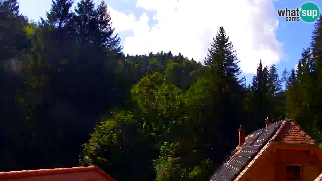 Webcam Lukanja – Water Village | Pohorje Houses