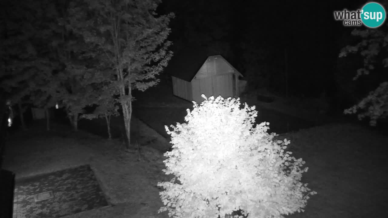 Webcam Lukanja – Pohorje houses a Water village