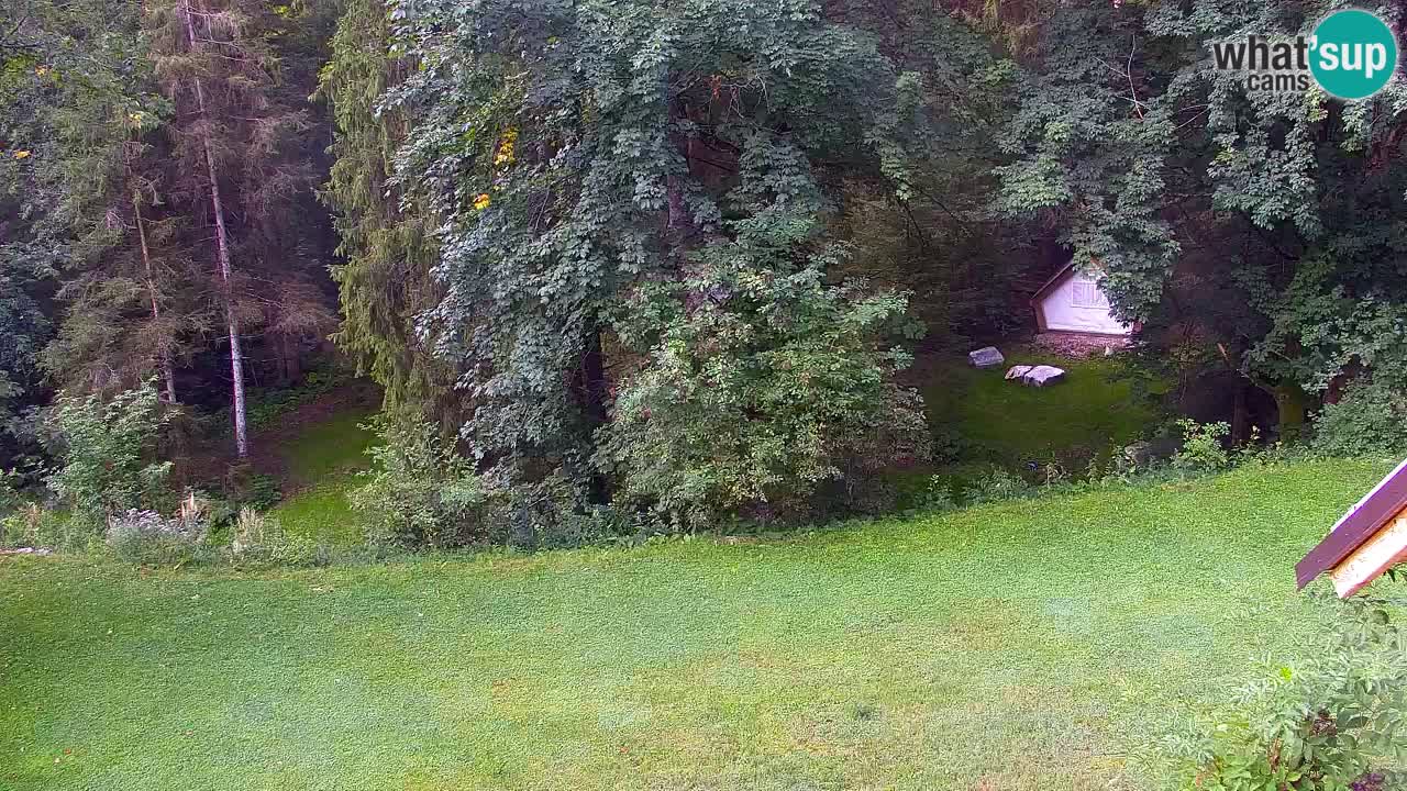 Webcam Lukanja – Water Village | Pohorje Houses