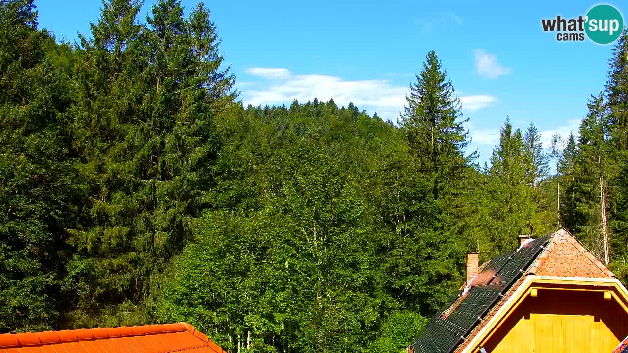 Webcam Lukanja – Pohorje houses a Water village