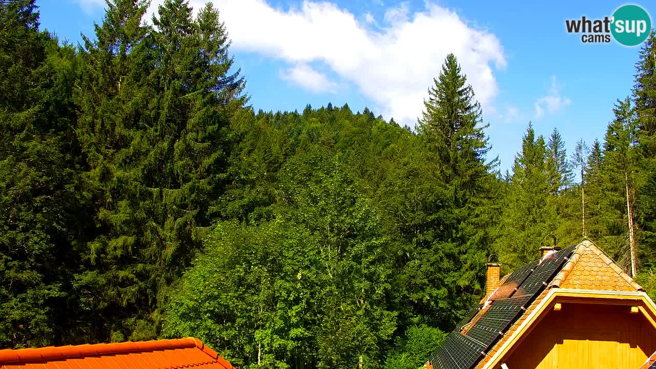 Web kamera Lukanja – Water Village | Pohorje Houses