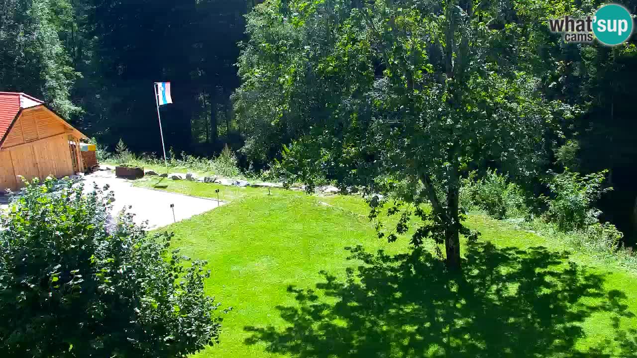 Webcam Lukanja – Water Village | Pohorje Houses