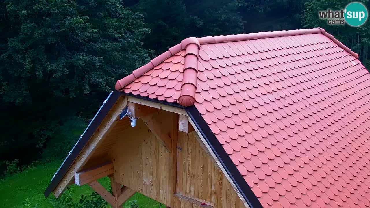 Webcam Lukanja – Water Village | Pohorje Houses