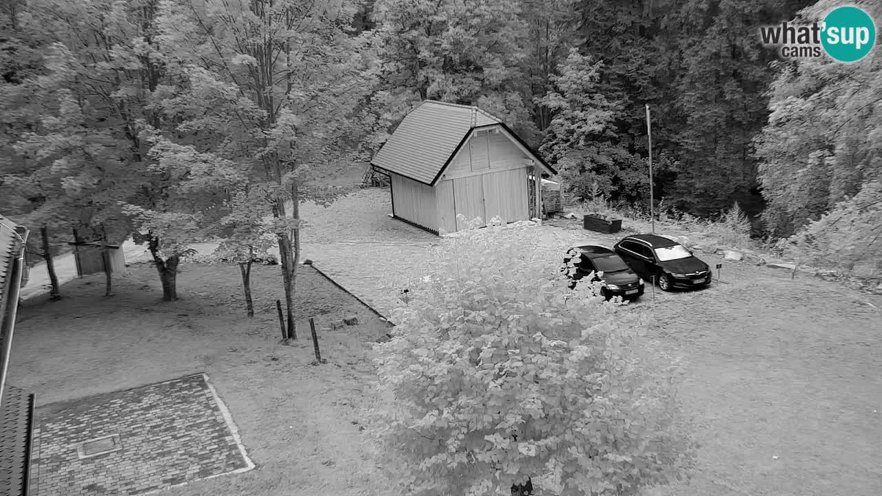 Webcam Lukanja – Pohorje houses a Water village