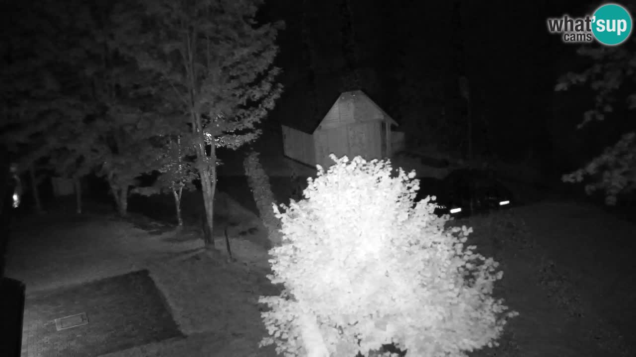 Webcam Lukanja – Water Village | Pohorje Houses