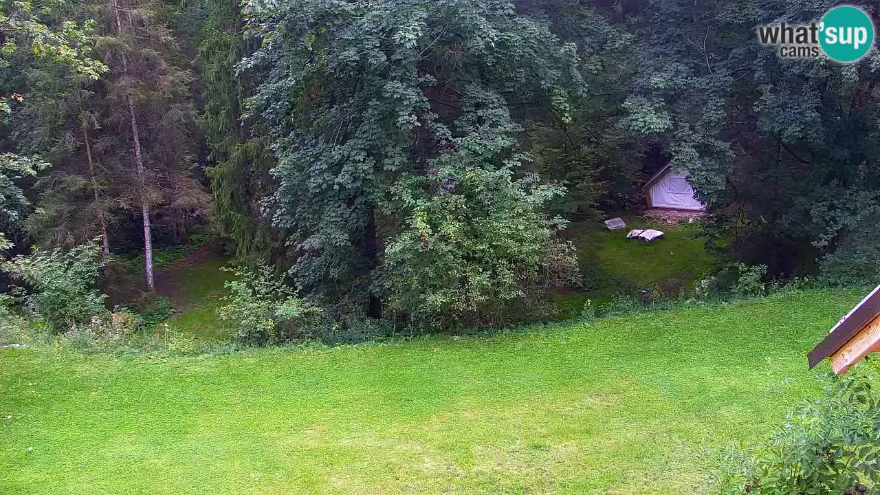 Webcam Lukanja – Pohorje houses a Water village