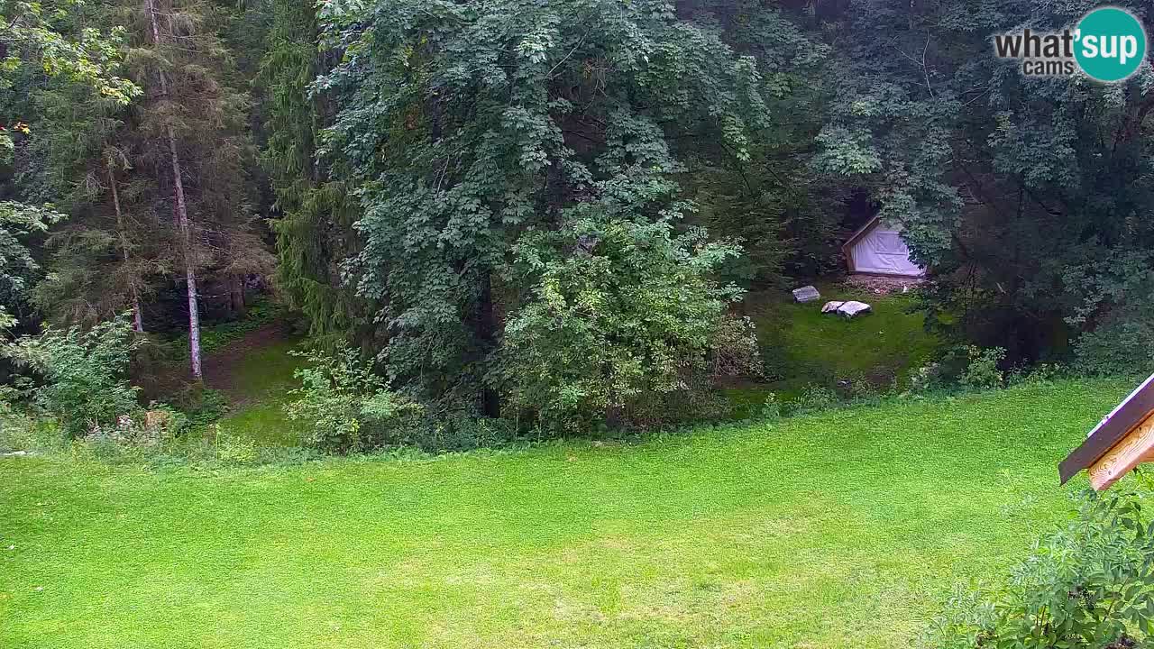 Webcam Lukanja – Water Village | Pohorje Houses