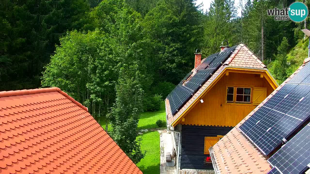 Web kamera Lukanja – Water Village | Pohorje Houses