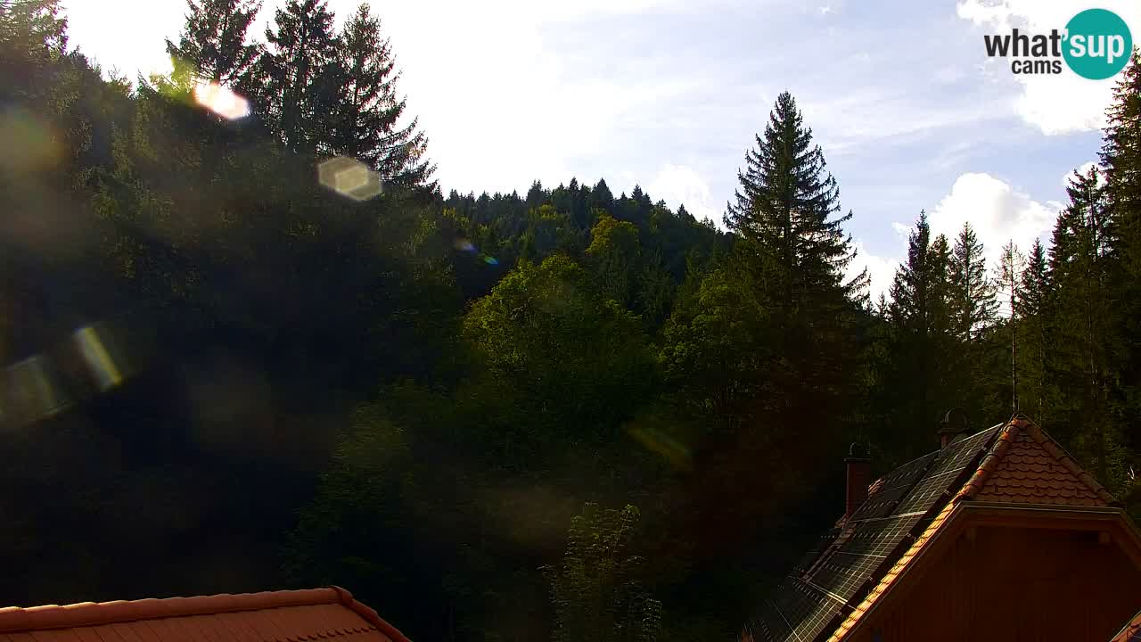Webcam Lukanja – Water Village | Pohorje Houses