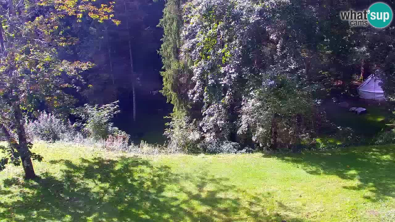 Webcam Lukanja – Pohorje houses a Water village