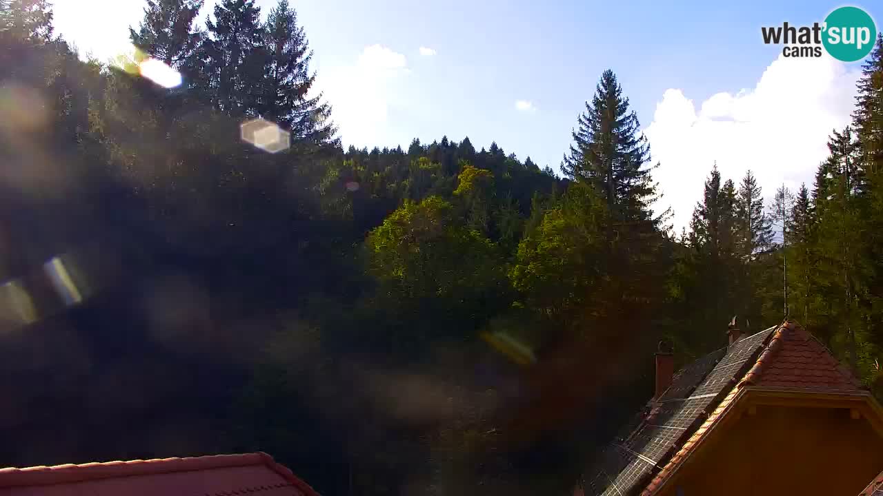Webcam Lukanja – Water Village | Pohorje Houses