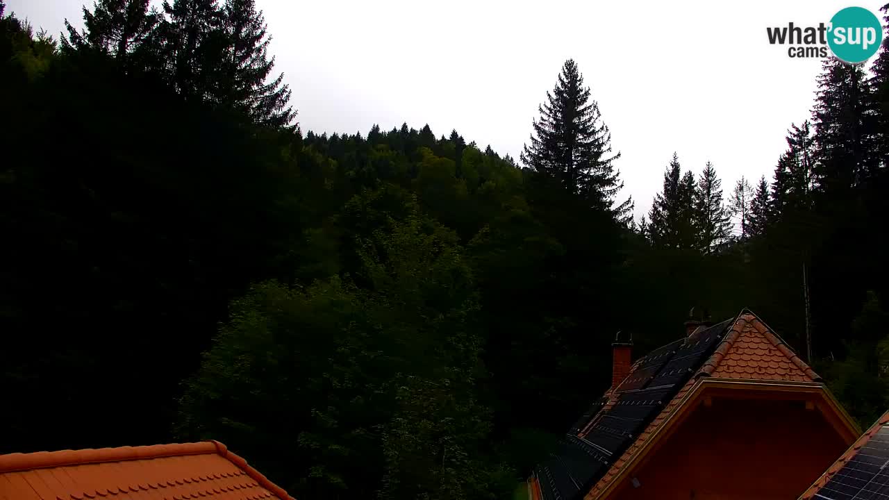 Webcam Lukanja – Pohorje houses a Water village
