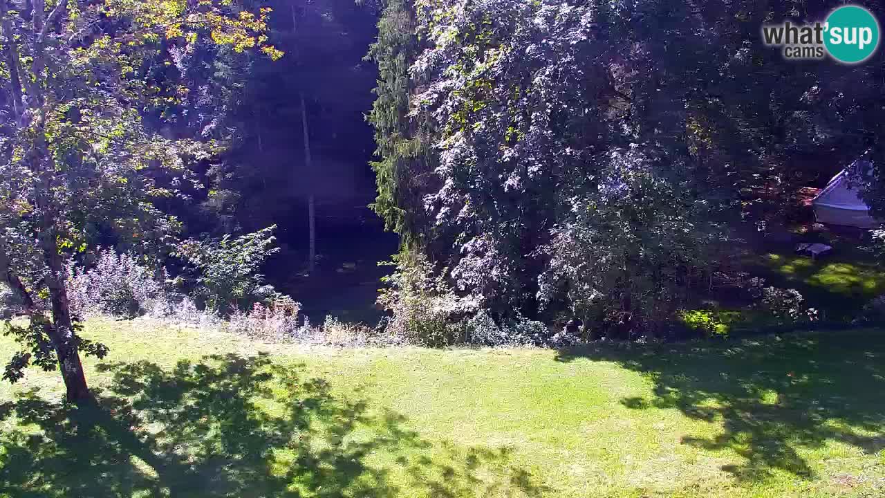 Webcam Lukanja – Water Village | Pohorje Houses