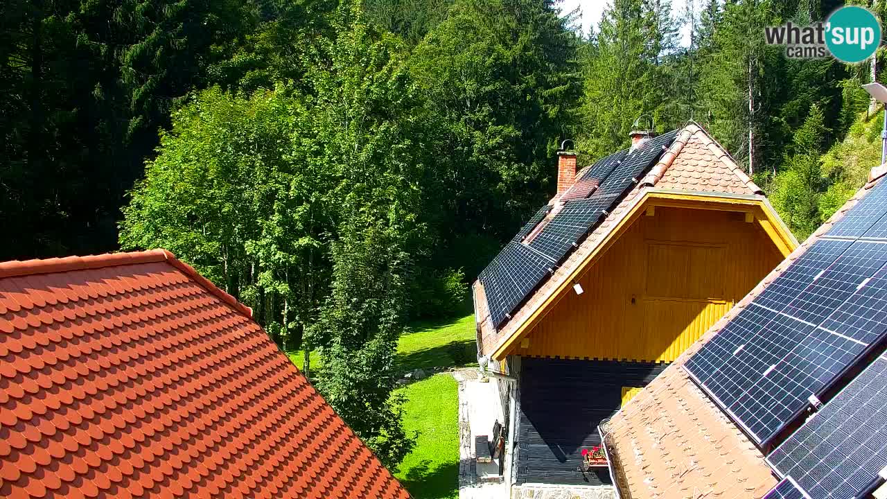 Webcam Lukanja – Pohorje houses a Water village