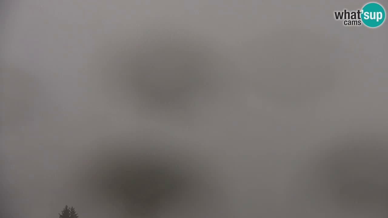 Webcam Dol pri Ljubljani – Panorama live sulla valle della Sava