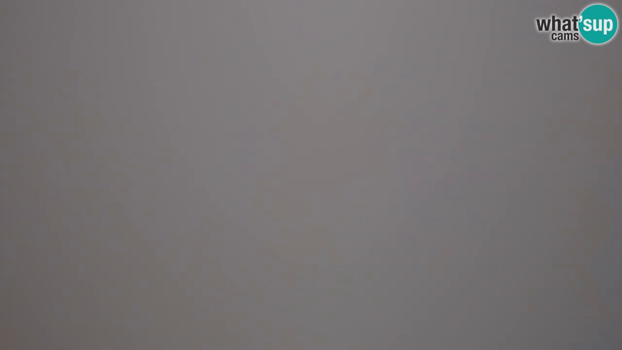 Spletna kamera Dol pri Ljubljani – Panorama z Vrha pri Dolskem