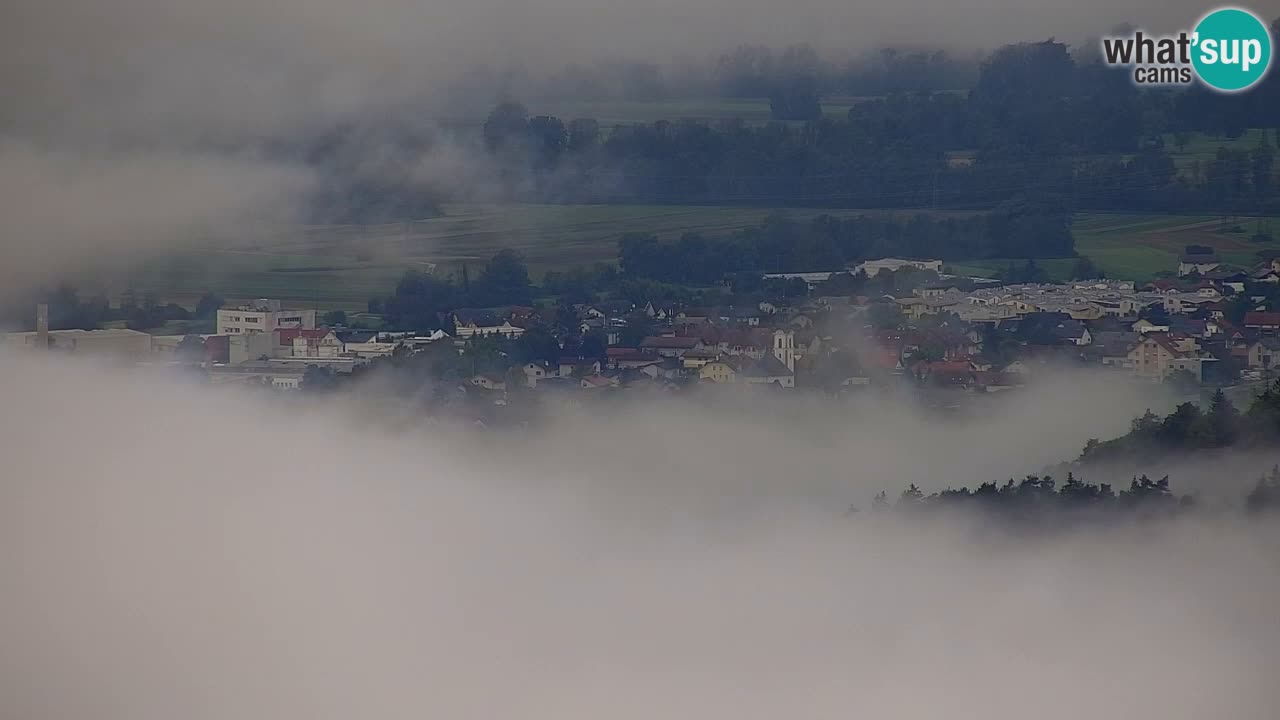 Spletna kamera Dol pri Ljubljani – Panorama z Vrha pri Dolskem